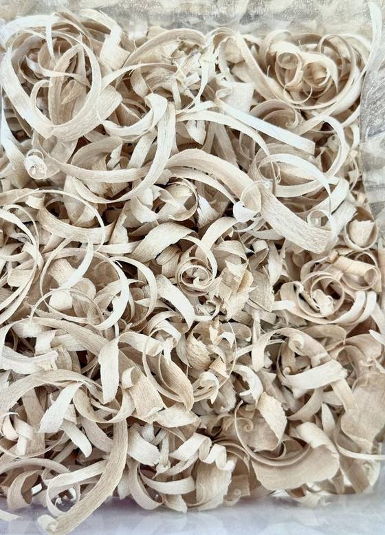 A jar of curled wood shavings